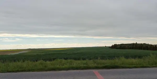 Działka budowlana 42 ary, Chwalibożyce – asfalt, media – Chwalibożyce, gm. Oława